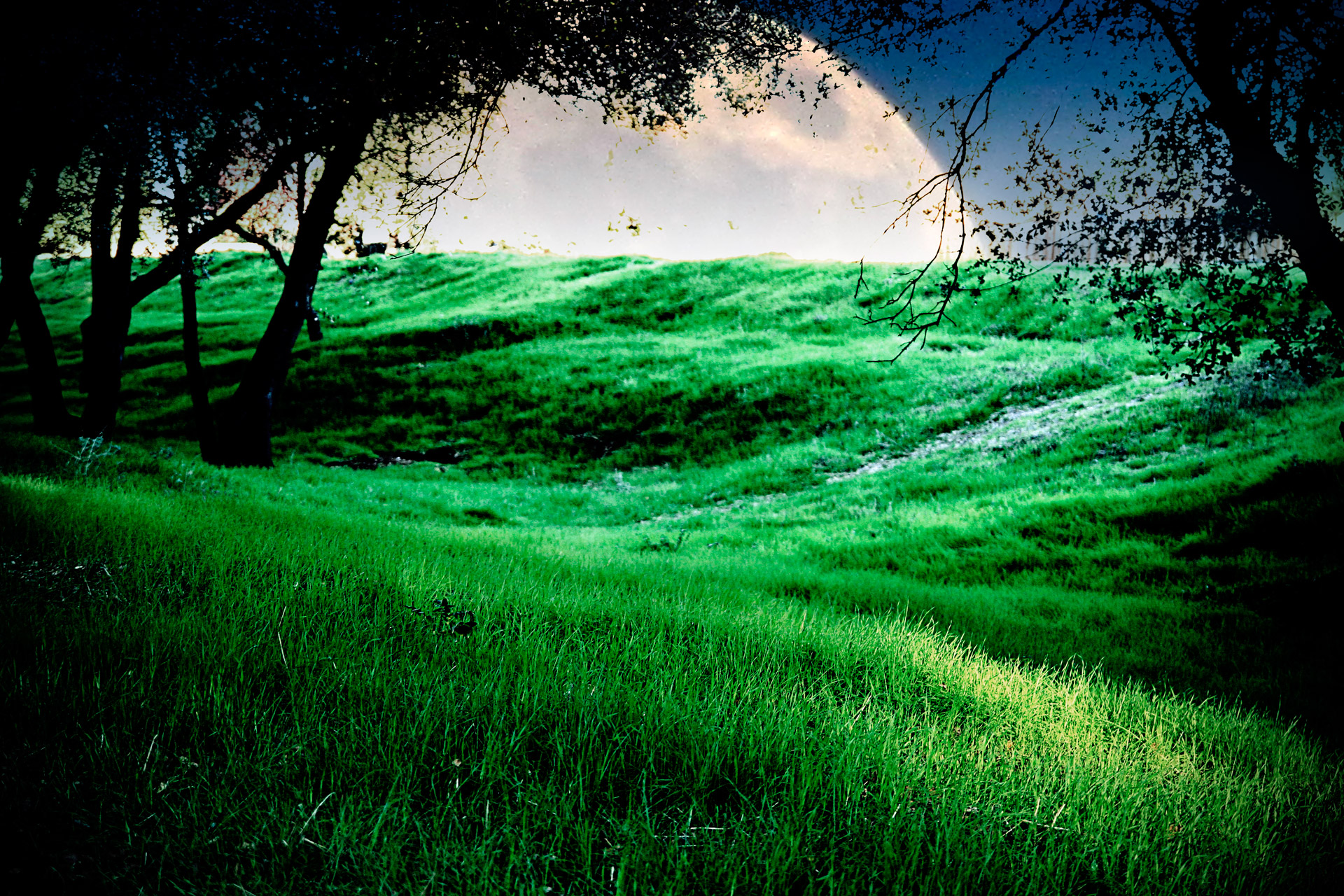 Free download high resolution image - free image free photo free stock image public domain picture -A green meadow with a moon