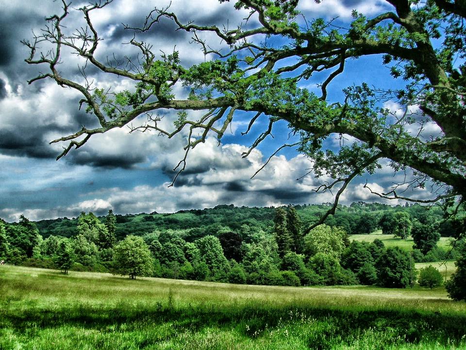 Free download high resolution image - free image free photo free stock image public domain picture  Landscape Kent England