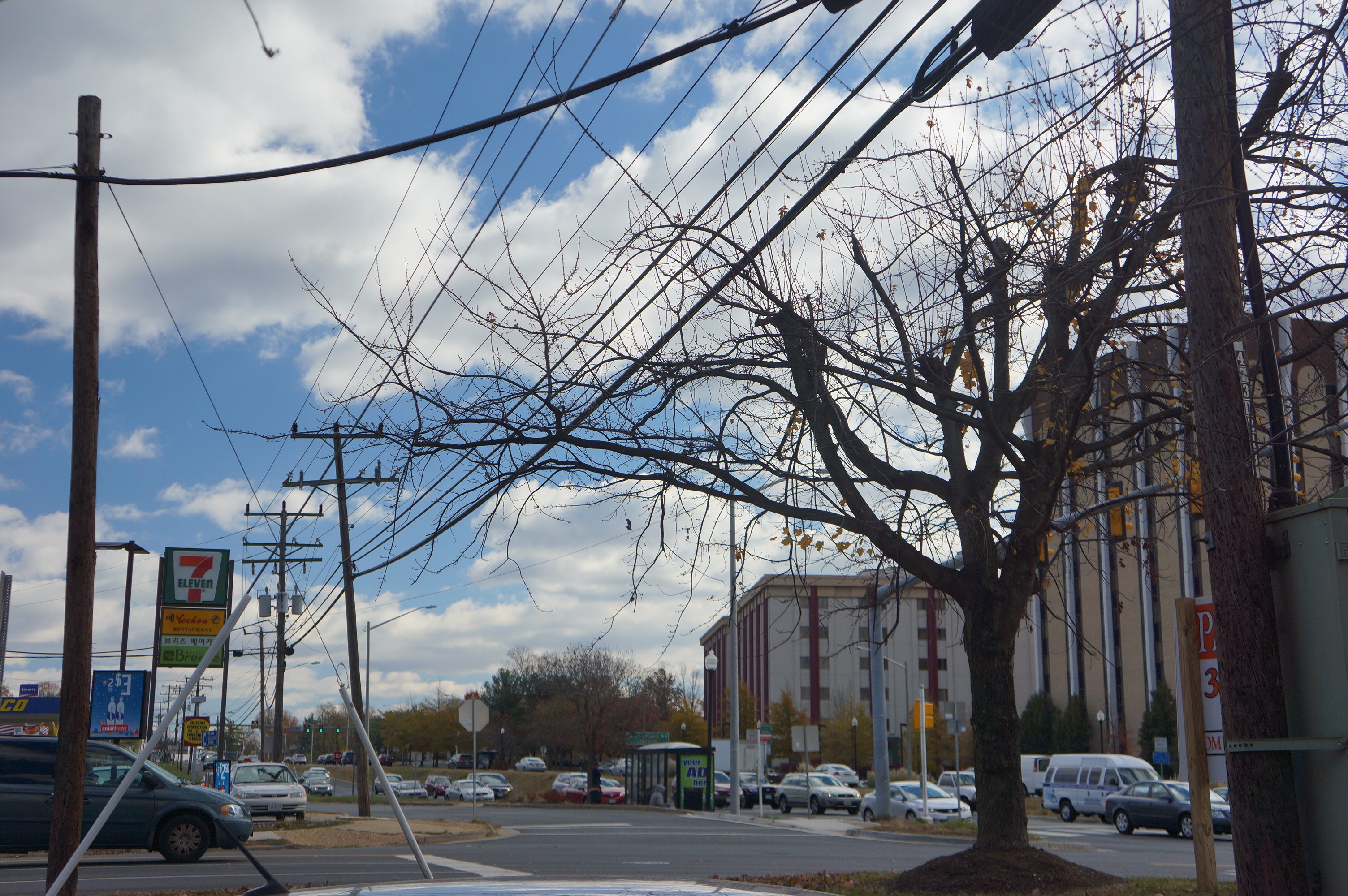 Free download high resolution image - free image free photo free stock image public domain picture -CityScape Annandale Virginia