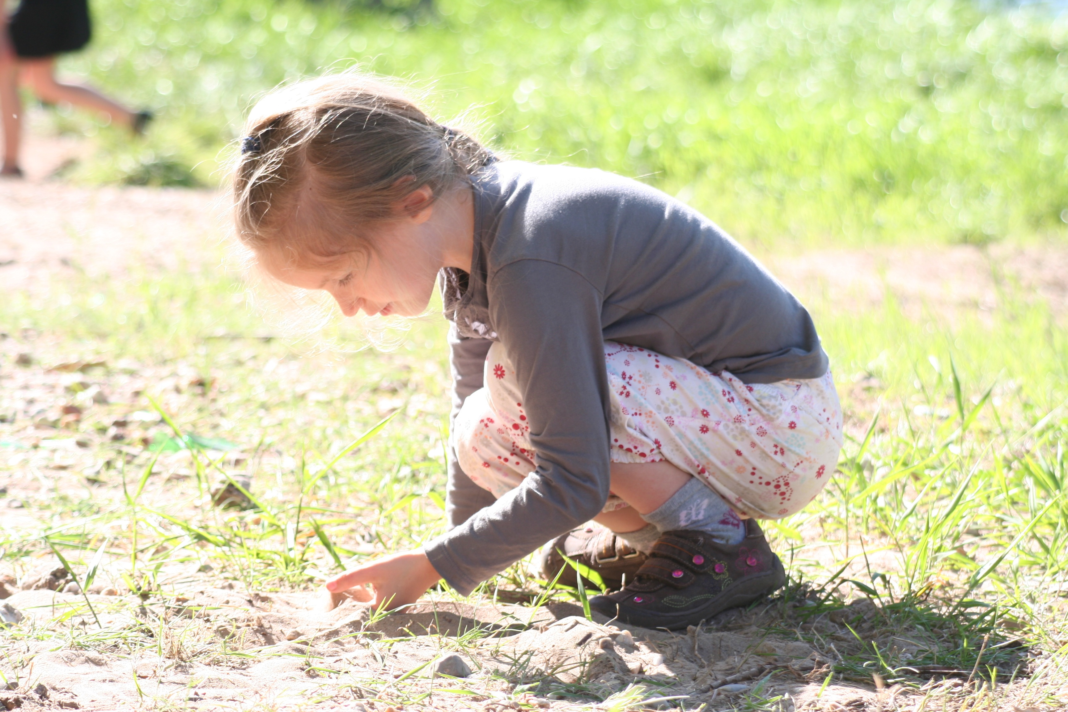 Free download high resolution image - free image free photo free stock image public domain picture -little girl in the forest on summer day