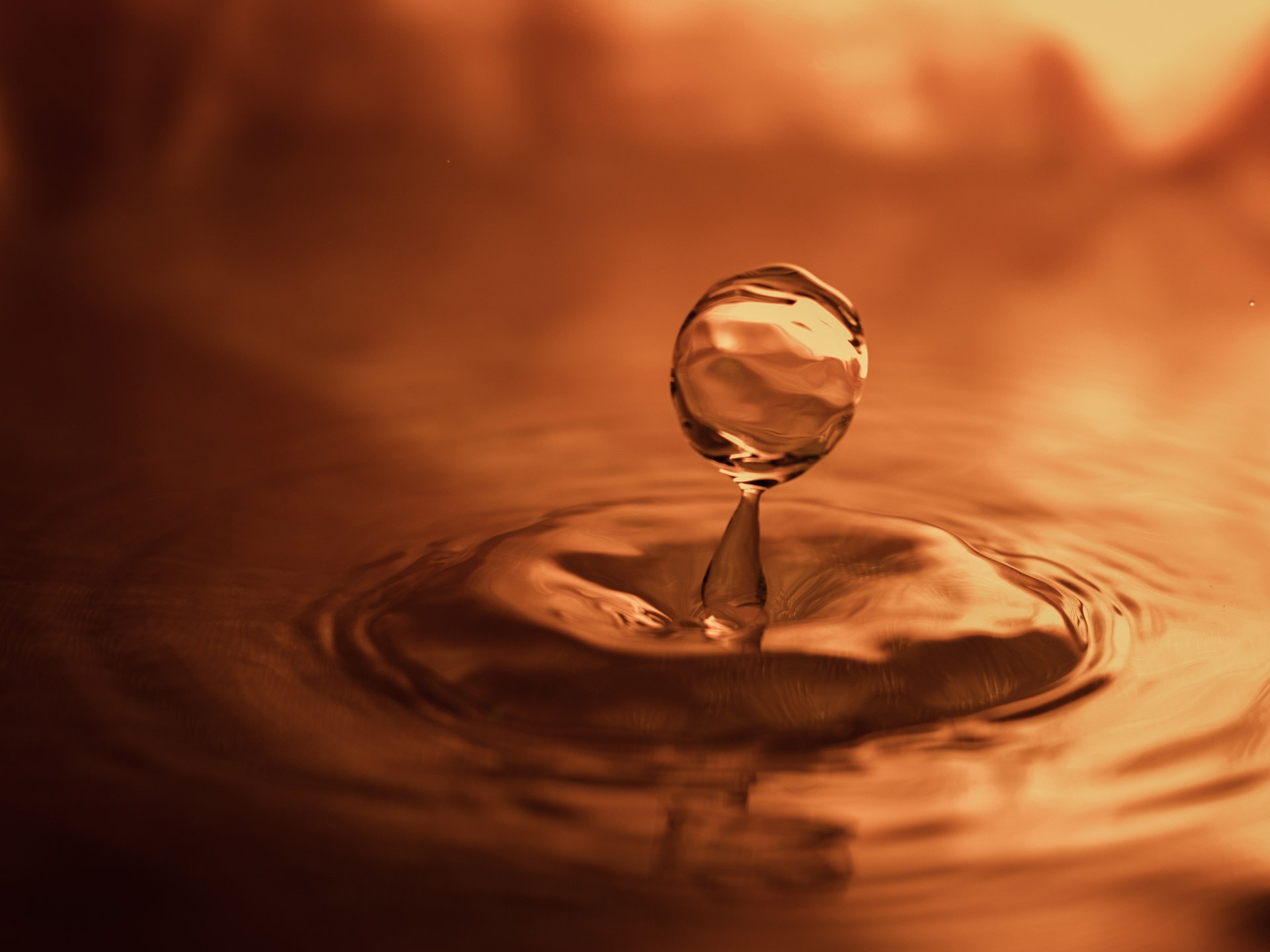 Free download high resolution image - free image free photo free stock image public domain picture -Water drop close up