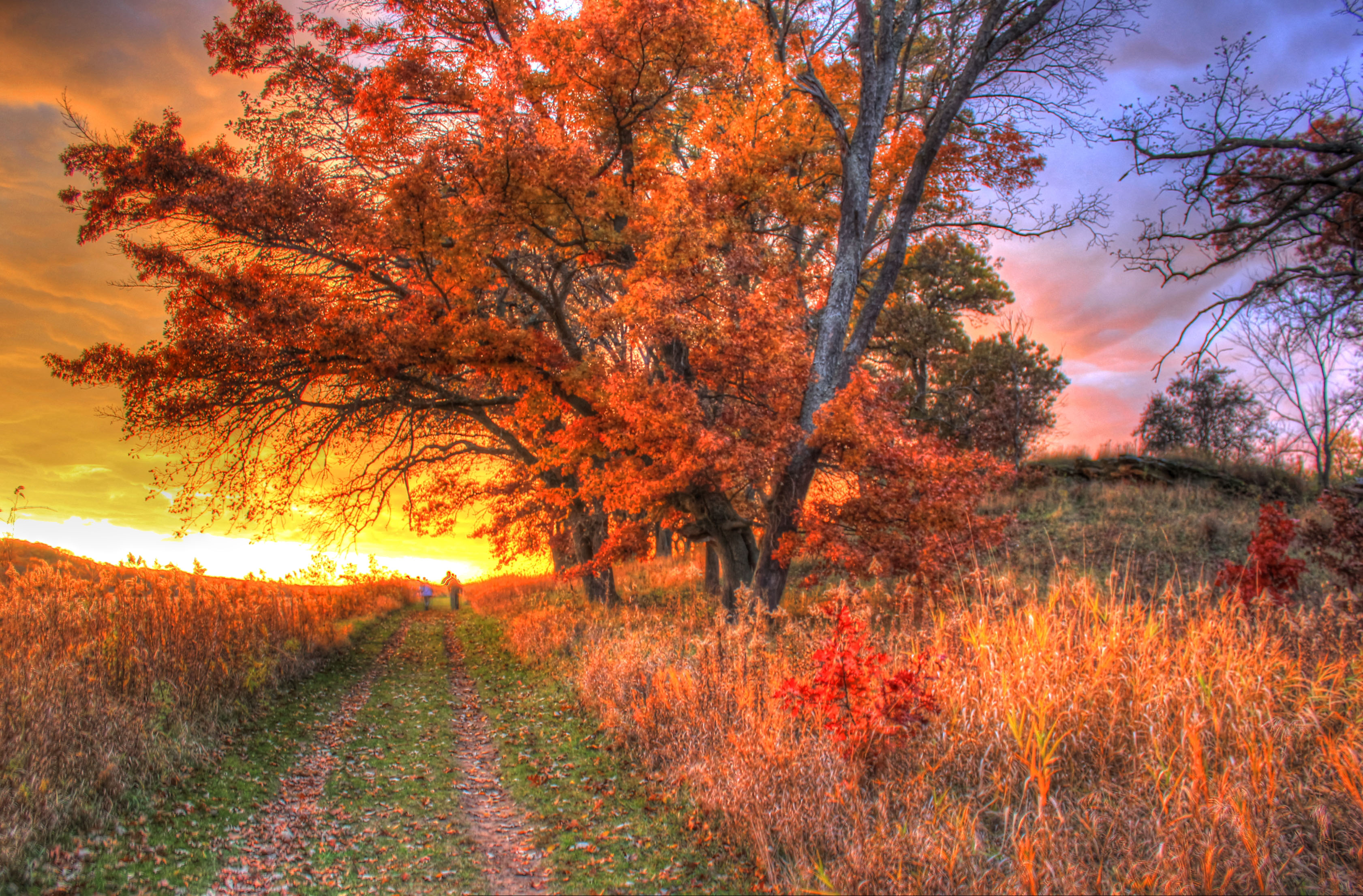 Free download high resolution image - free image free photo free stock image public domain picture -Sunset over Hiking trail