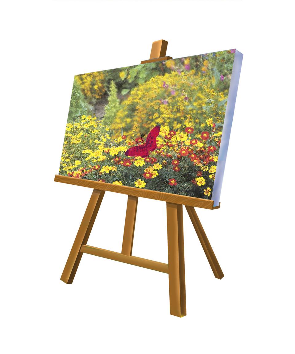 Free download high resolution image - free image free photo free stock image public domain picture  Wooden easel with painted canvas