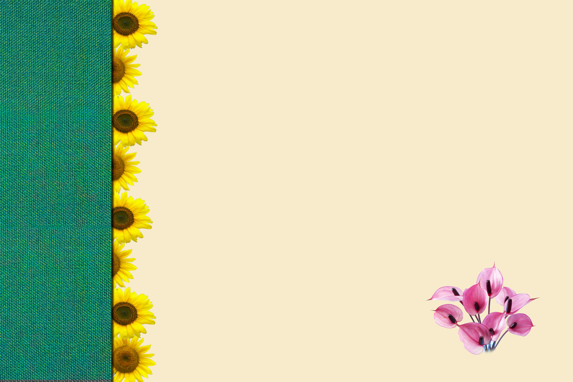 Free download high resolution image - free image free photo free stock image public domain picture -Border with sunflowers with space for text or photo