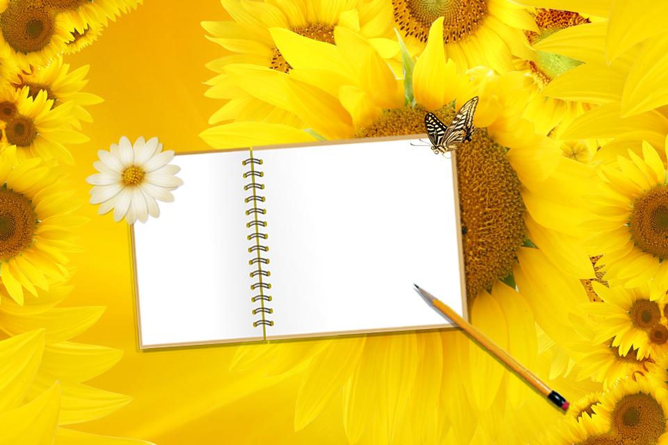 Free download high resolution image - free image free photo free stock image public domain picture  Blank note on sunflowers background