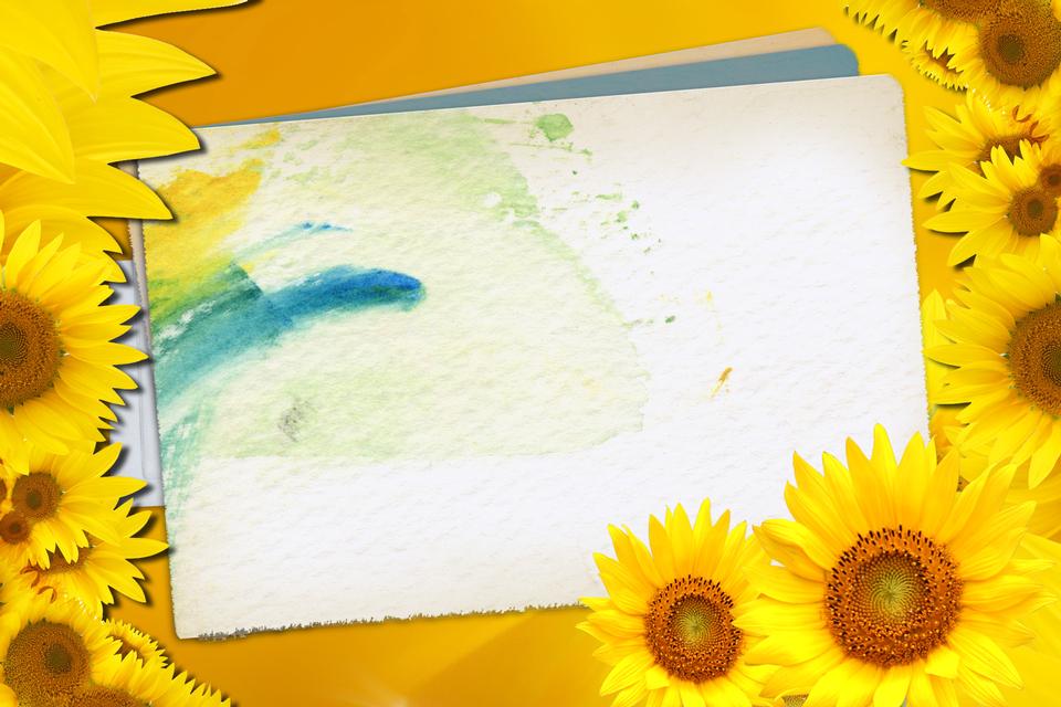 Free download high resolution image - free image free photo free stock image public domain picture  Greeting grunge card with bunch of sunflowers