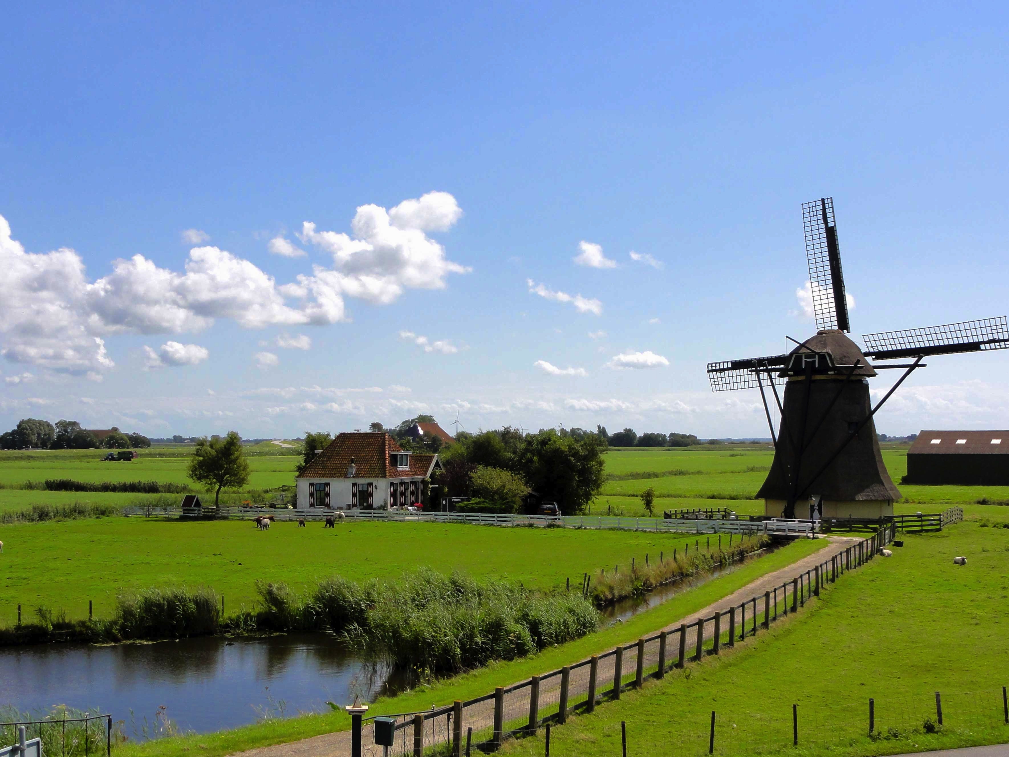 Free download high resolution image - free image free photo free stock image public domain picture -windmill in Holland