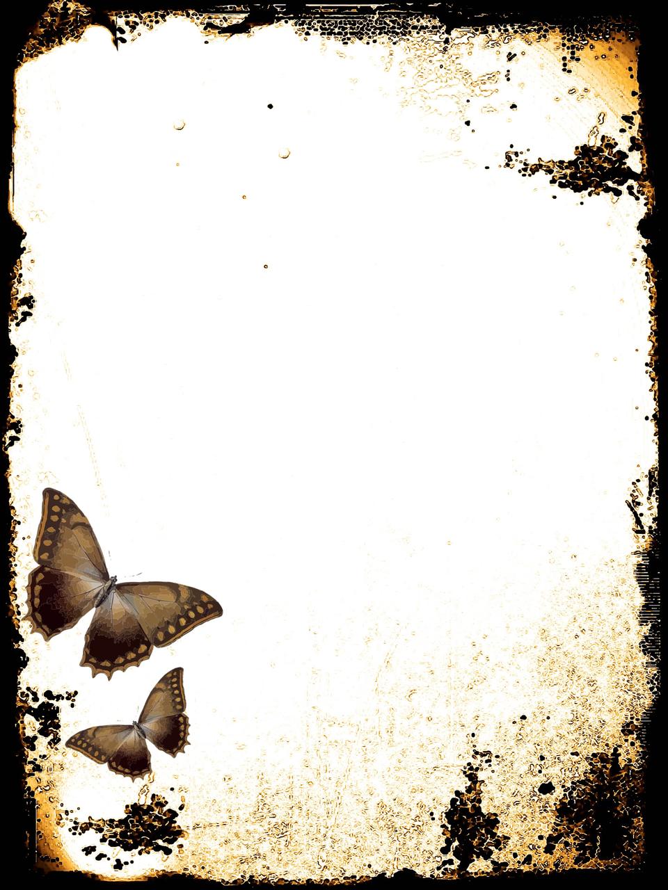 Free download high resolution image - free image free photo free stock image public domain picture  Butterflies Stationery