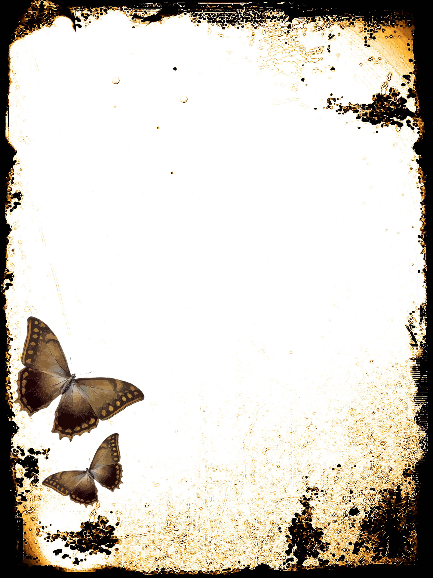 Free download high resolution image - free image free photo free stock image public domain picture -Butterflies Stationery