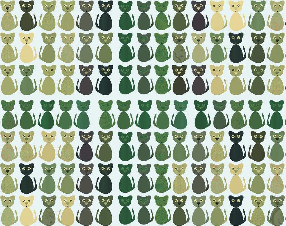 Free download high resolution image - free image free photo free stock image public domain picture  Cats Pattern