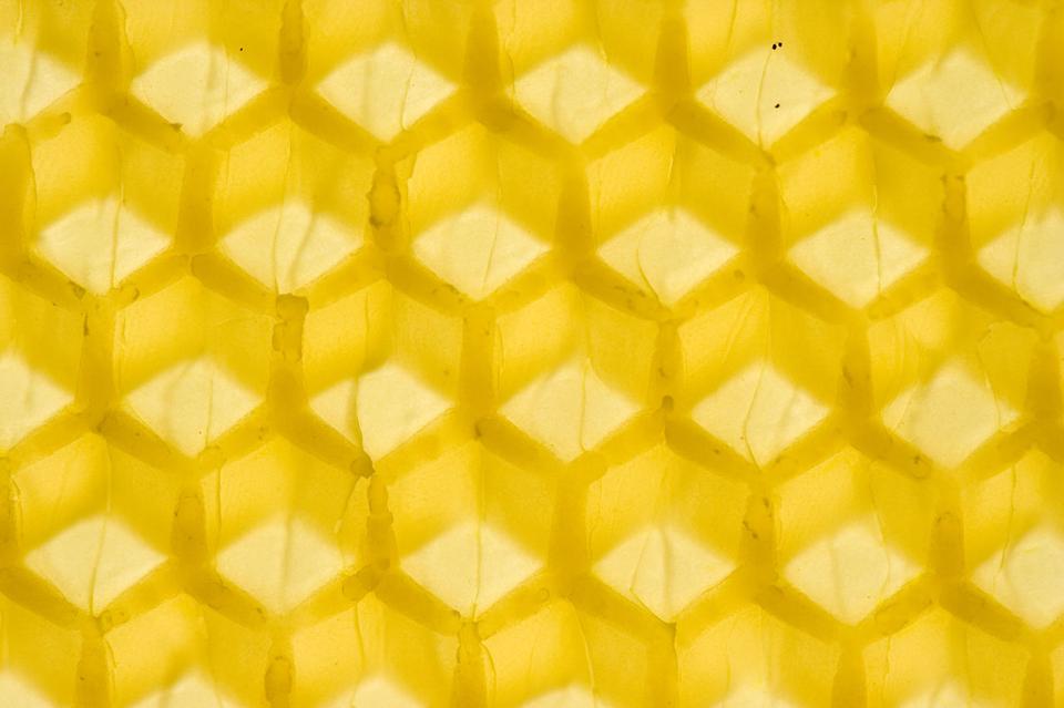 Free download high resolution image - free image free photo free stock image public domain picture  Honeycomb Macro