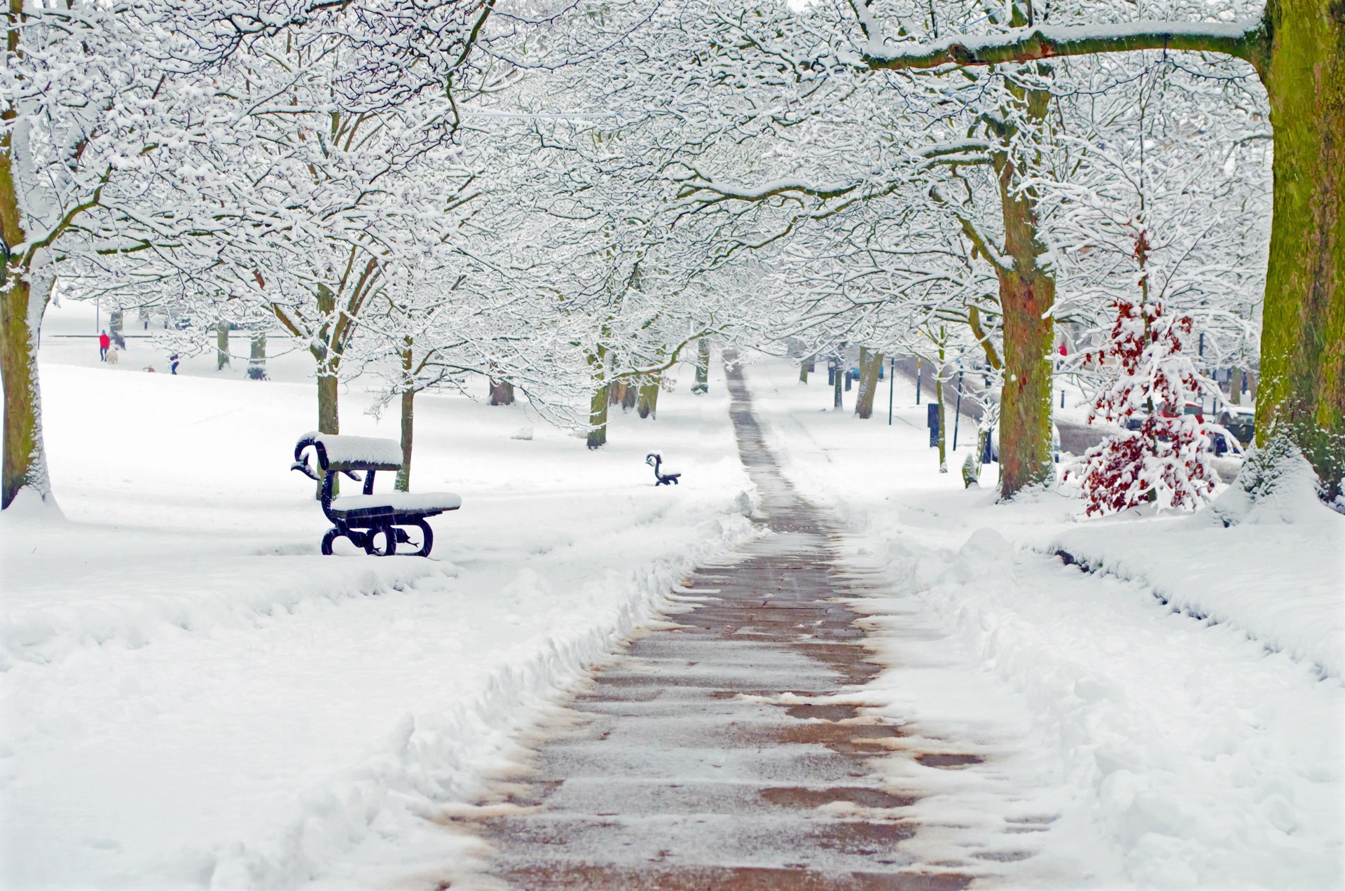 Free download high resolution image - free image free photo free stock image public domain picture -Park bench and trees covered by heavy snow