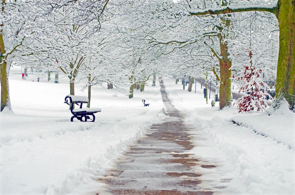 Free download high resolution image - free image free photo free stock image public domain picture  Park bench and trees covered by heavy snow