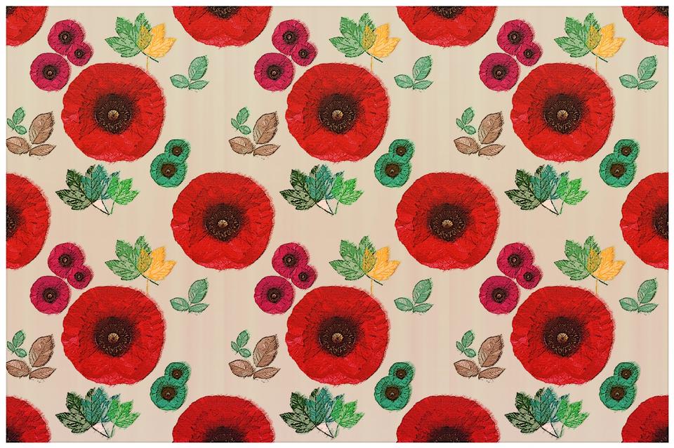 Free download high resolution image - free image free photo free stock image public domain picture  Poppy Pattern