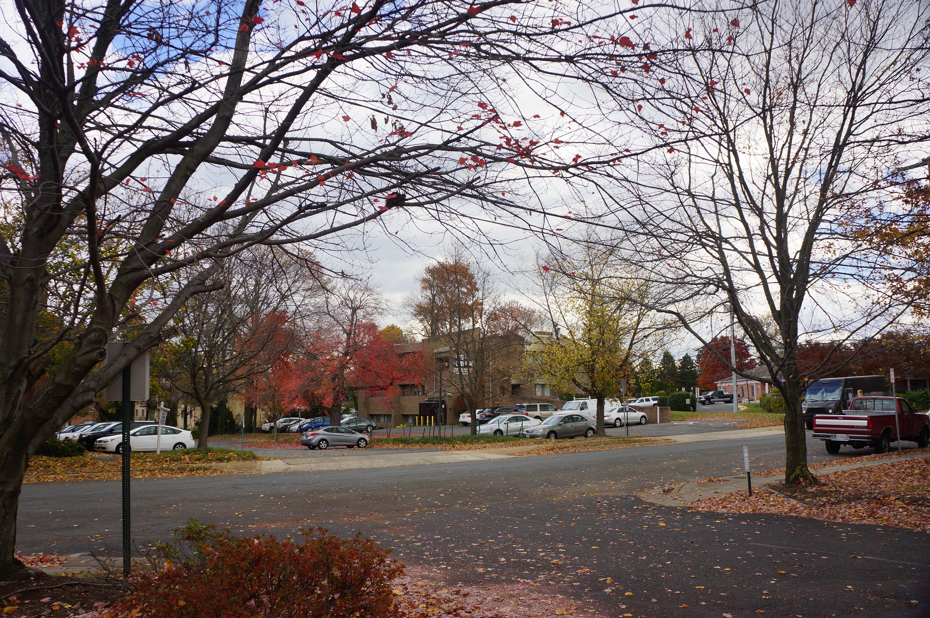 Free download high resolution image - free image free photo free stock image public domain picture -Landscape of Annandale Virginia