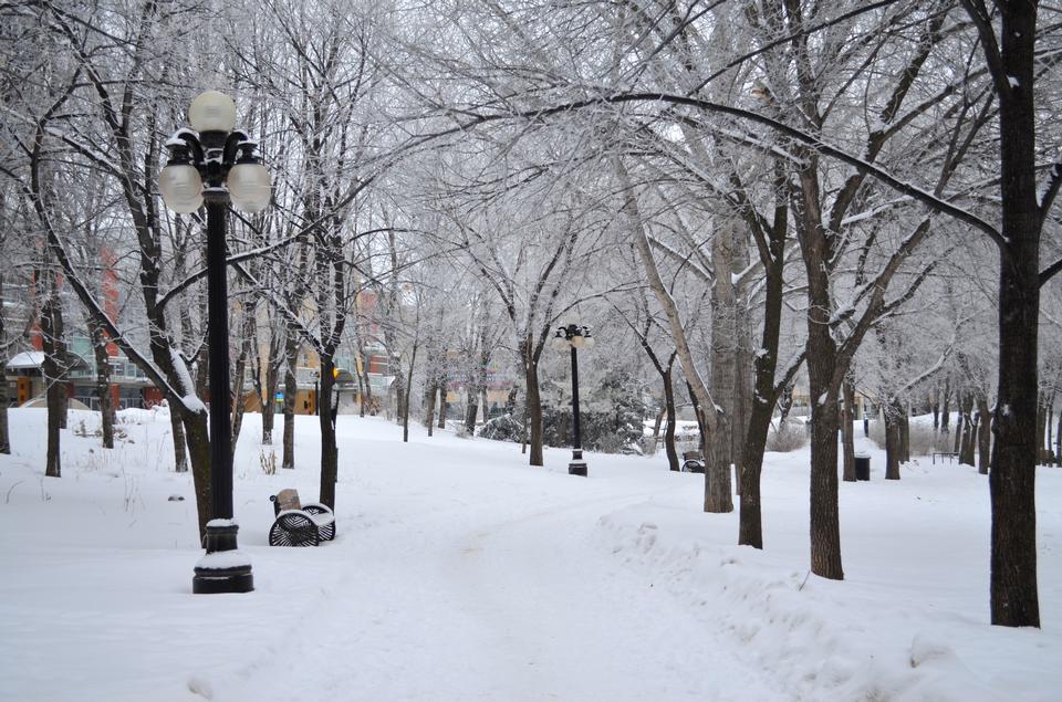 Free download high resolution image - free image free photo free stock image public domain picture  Winter park covered with snow with a row of lamps