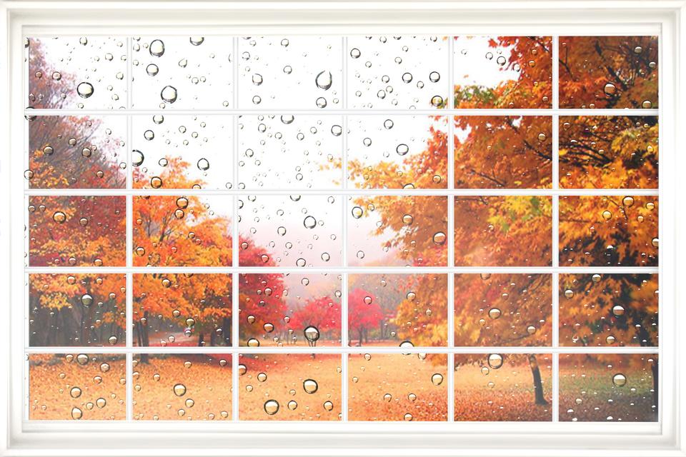 Free download high resolution image - free image free photo free stock image public domain picture  Fall views through grungy window frames.