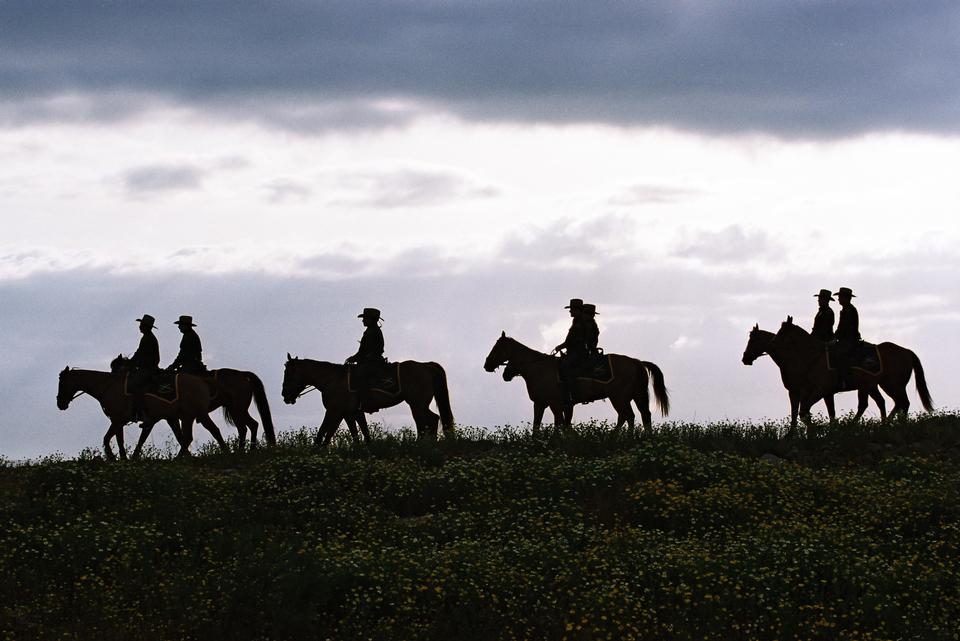 Free download high resolution image - free image free photo free stock image public domain picture  Silhouette cowboys with horses in the sunset