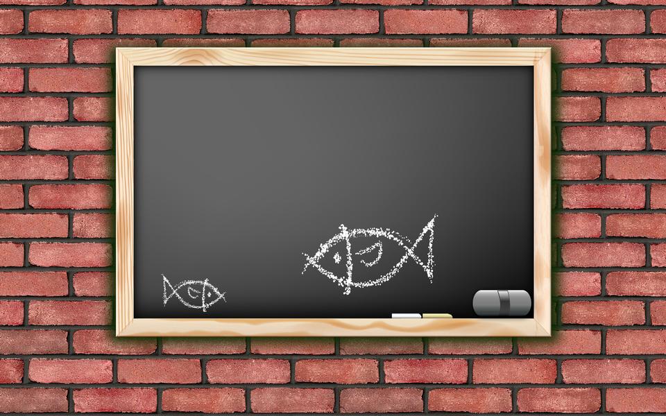 Free download high resolution image - free image free photo free stock image public domain picture  Drawing of fish on blackboard