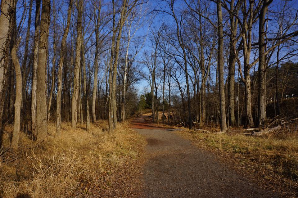 Free download high resolution image - free image free photo free stock image public domain picture  Manassas National Battlefield Park