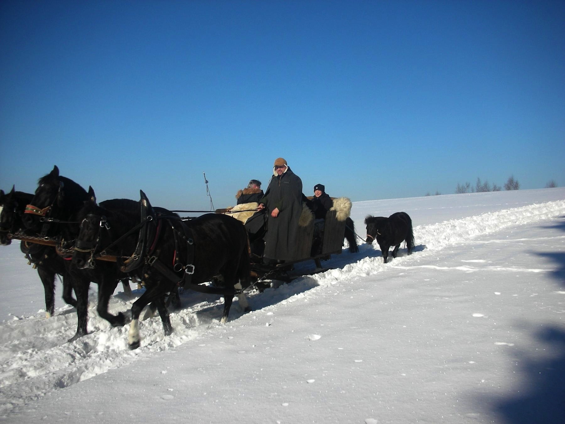 Free download high resolution image - free image free photo free stock image public domain picture -New Year's landscape with a horse sledge