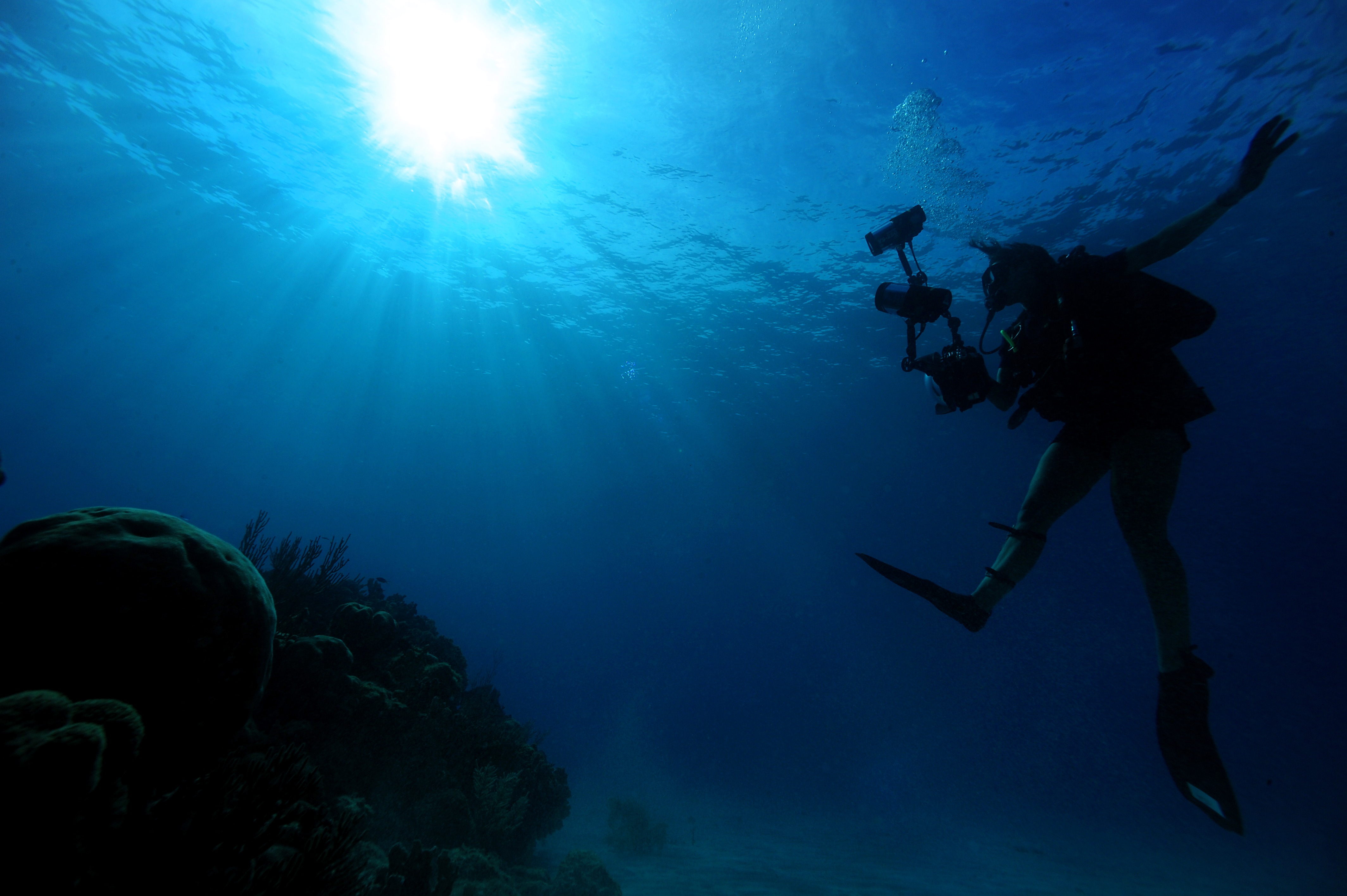 Free download high resolution image - free image free photo free stock image public domain picture -Scuba Diver descendsinot underwater