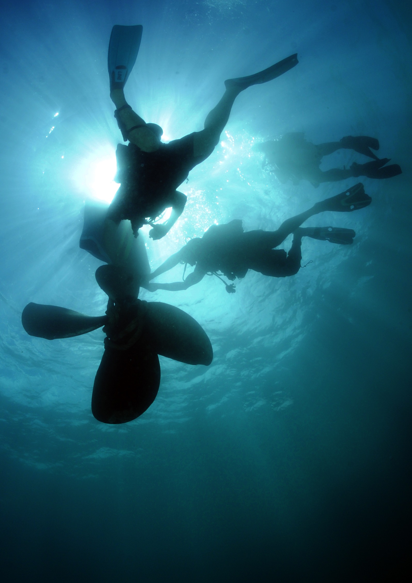 Free download high resolution image - free image free photo free stock image public domain picture -Scuba divers in silhouette swimming under water