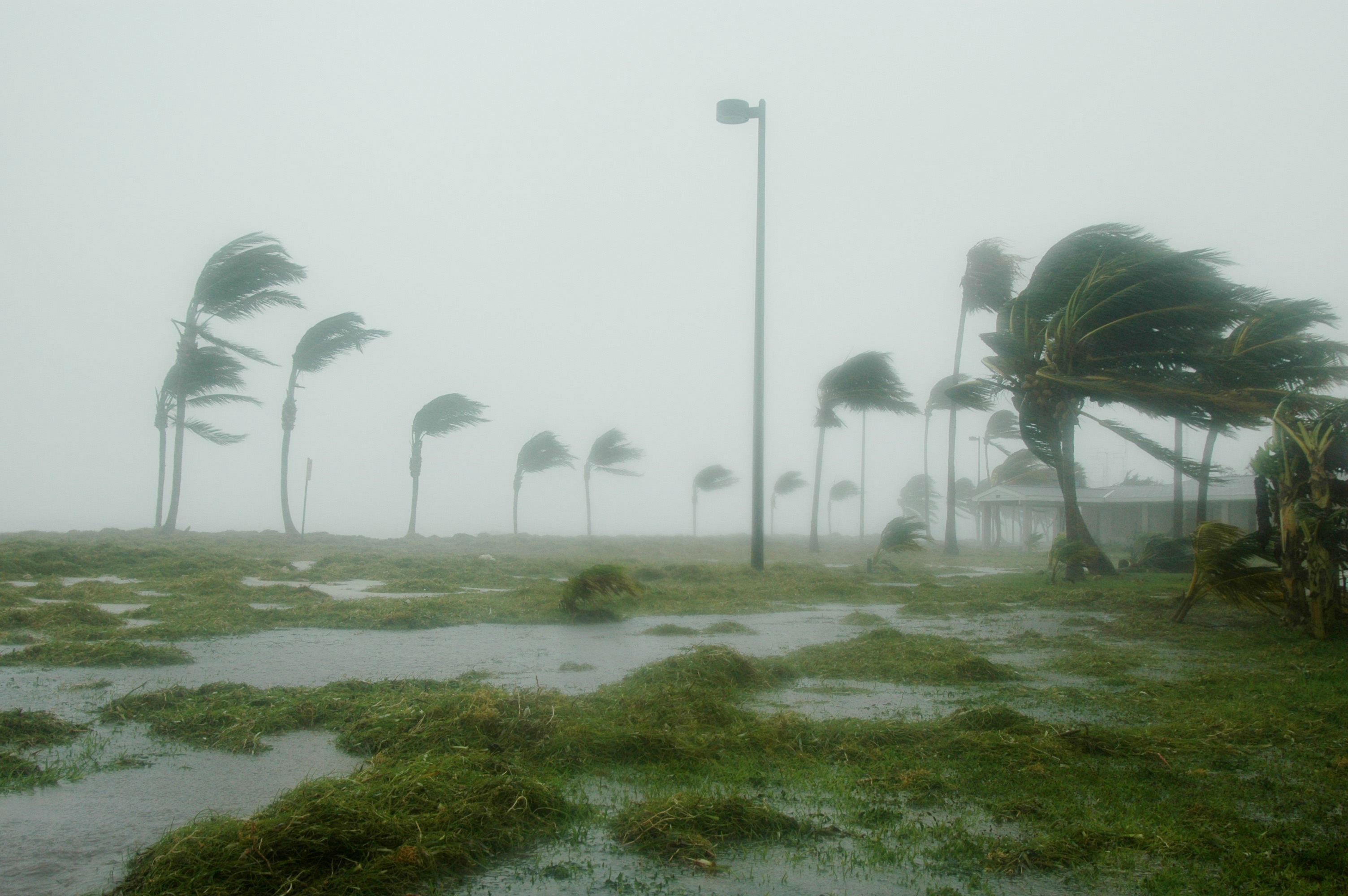 Free download high resolution image - free image free photo free stock image public domain picture -Tropical storm with a lot of rain