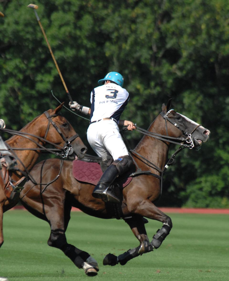 Free download high resolution image - free image free photo free stock image public domain picture  A Polo Player hits the Polo ball with a stick