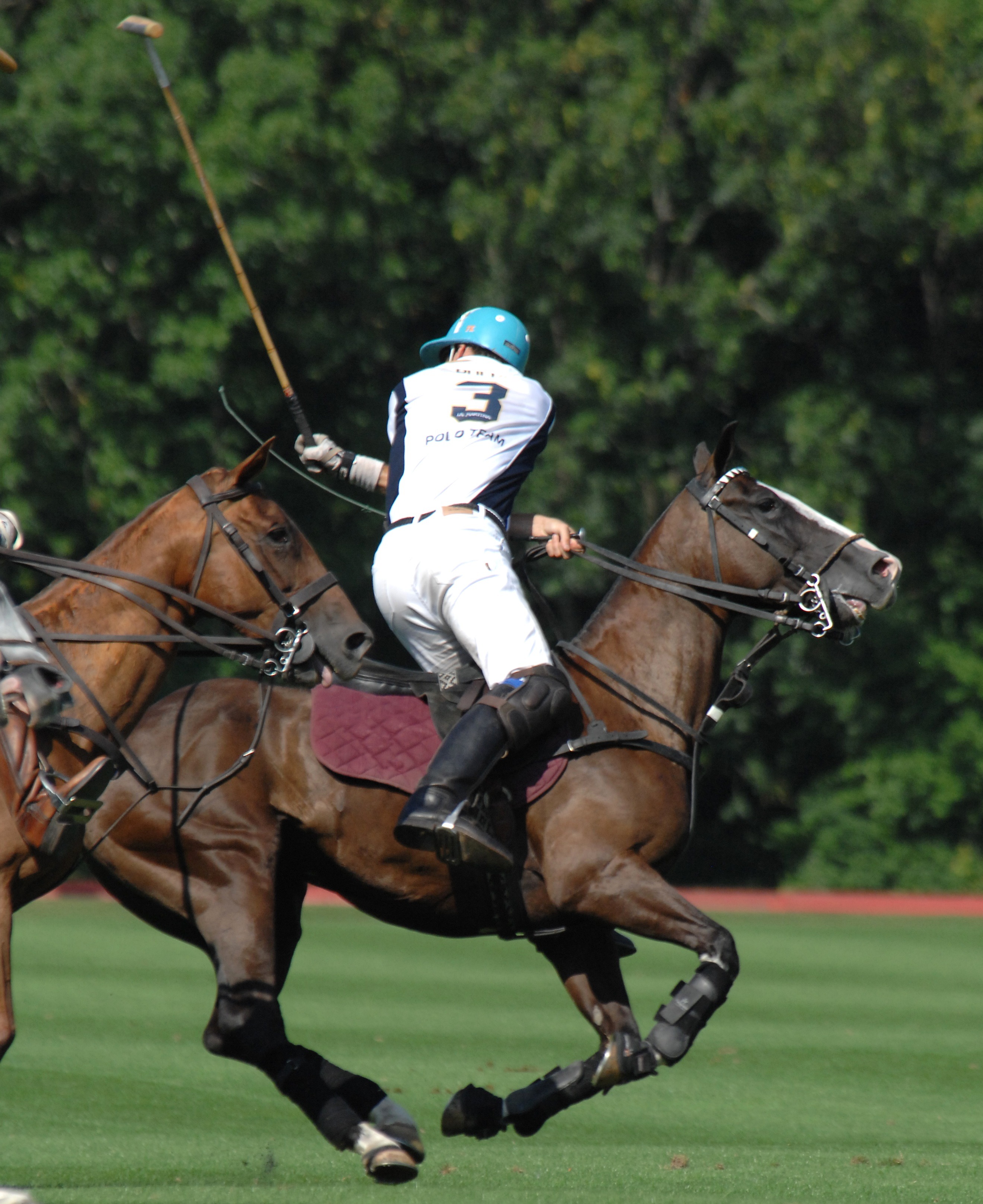 Free download high resolution image - free image free photo free stock image public domain picture -A Polo Player hits the Polo ball with a stick