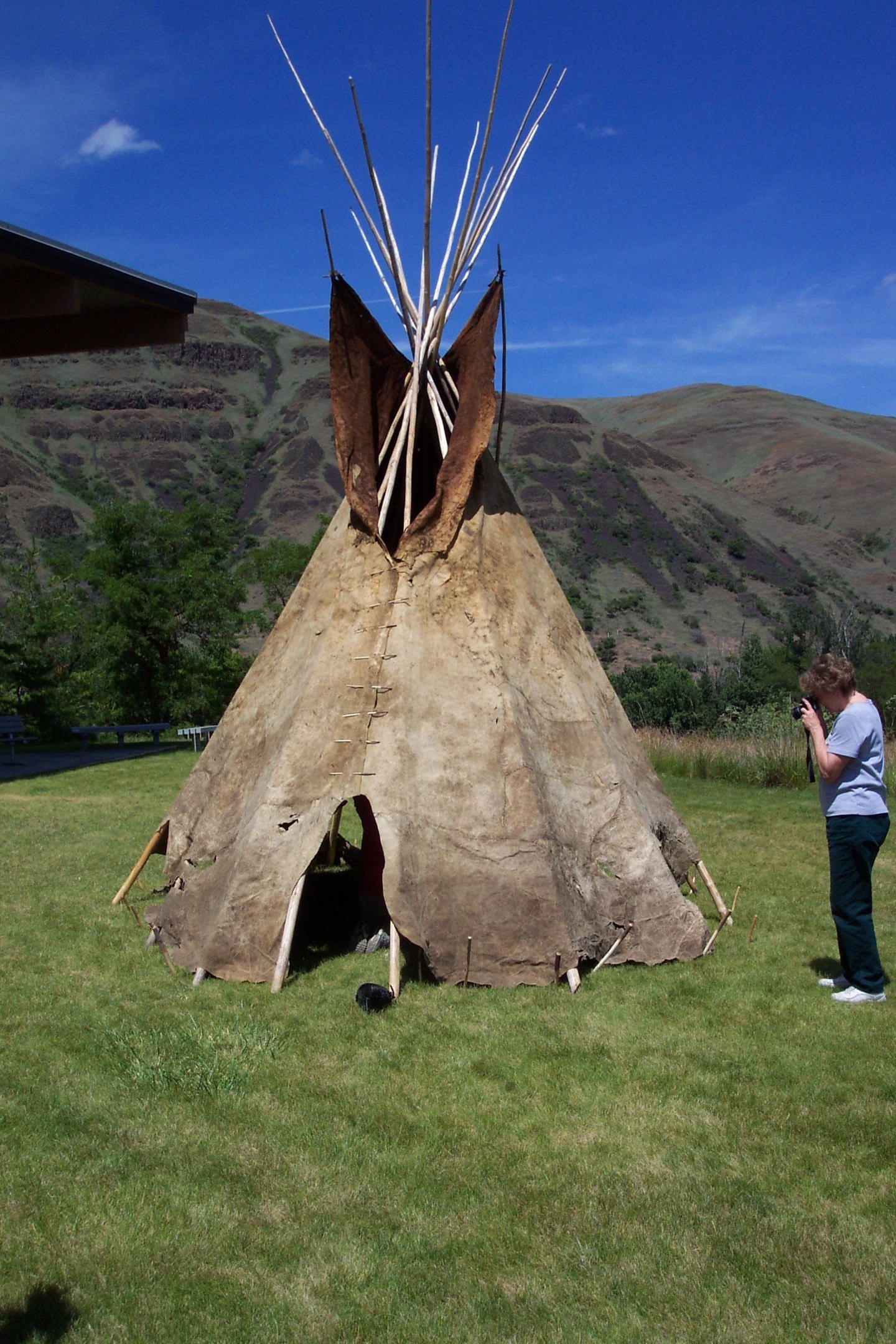 Free download high resolution image - free image free photo free stock image public domain picture -Buffalo Hide Tipi