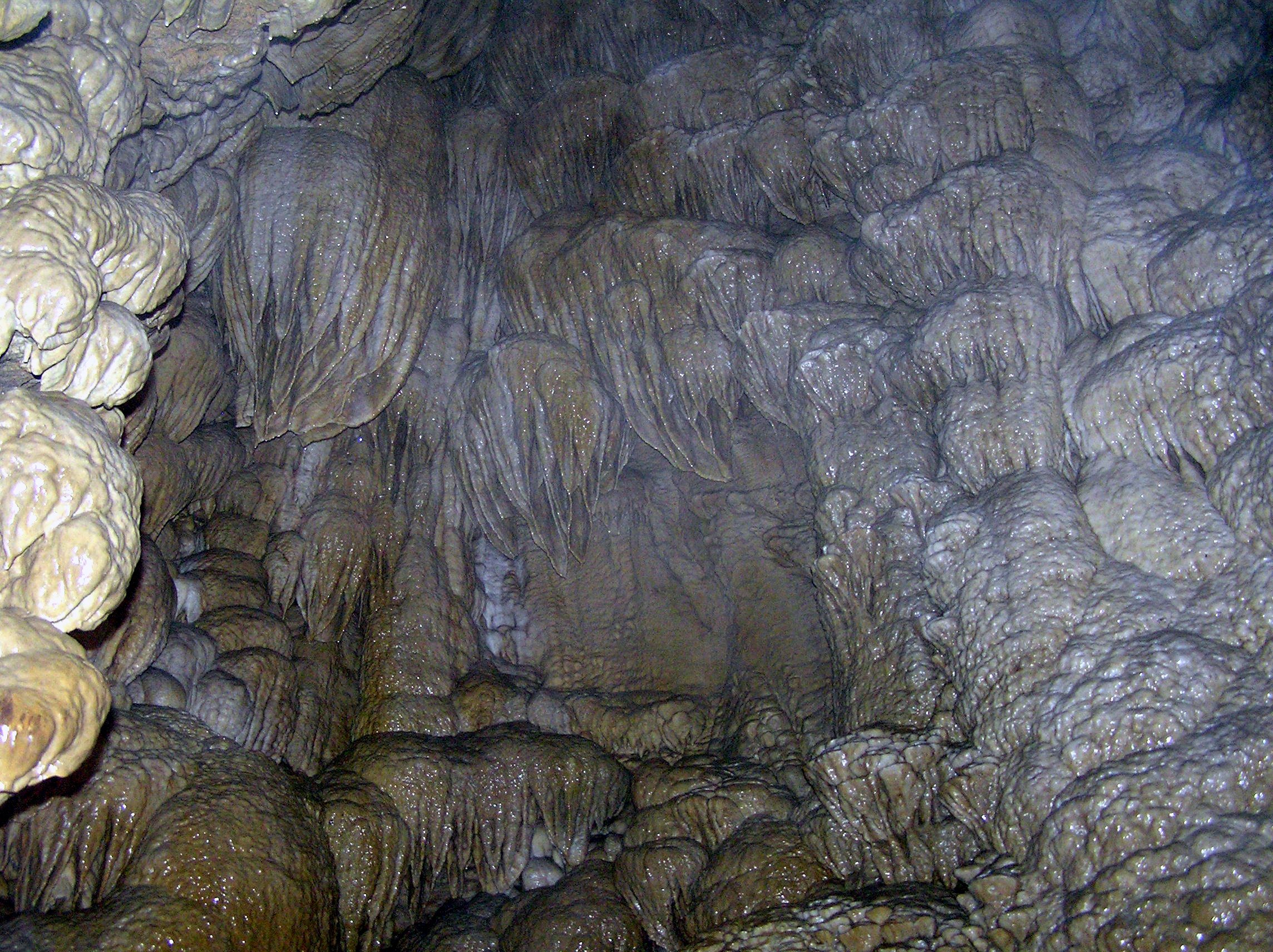 Free download high resolution image - free image free photo free stock image public domain picture -Paradise Lost Oregon Caves National Monument