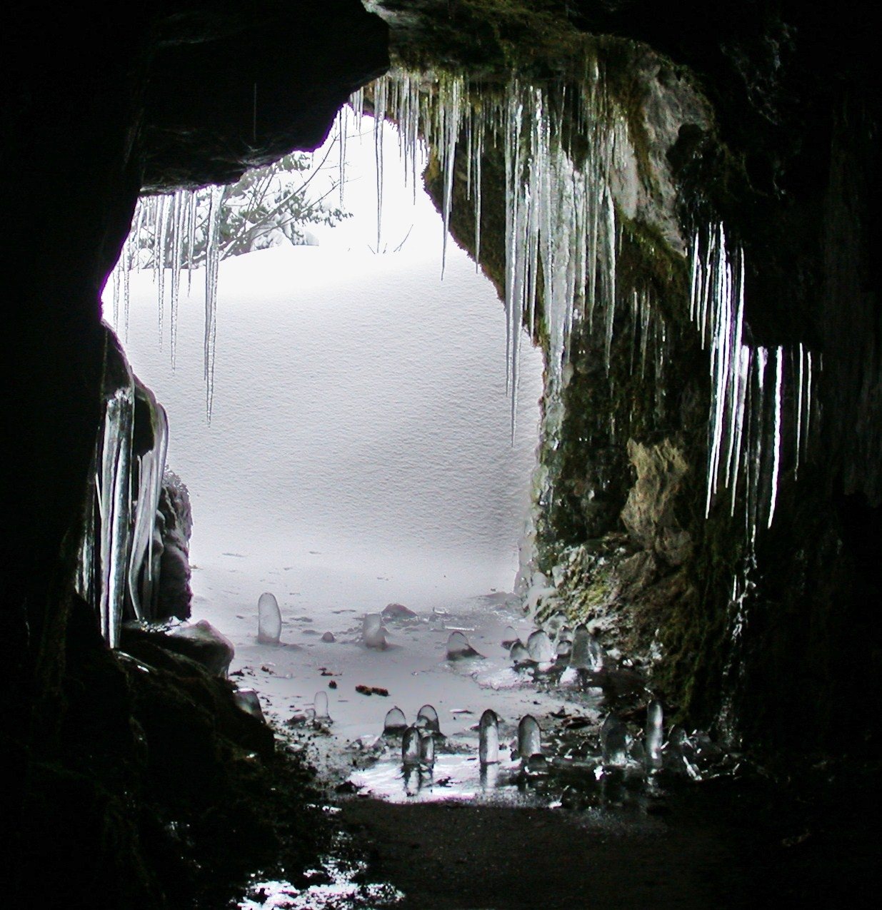 Free download high resolution image - free image free photo free stock image public domain picture -Cave entrance Oregon Caves National Monument