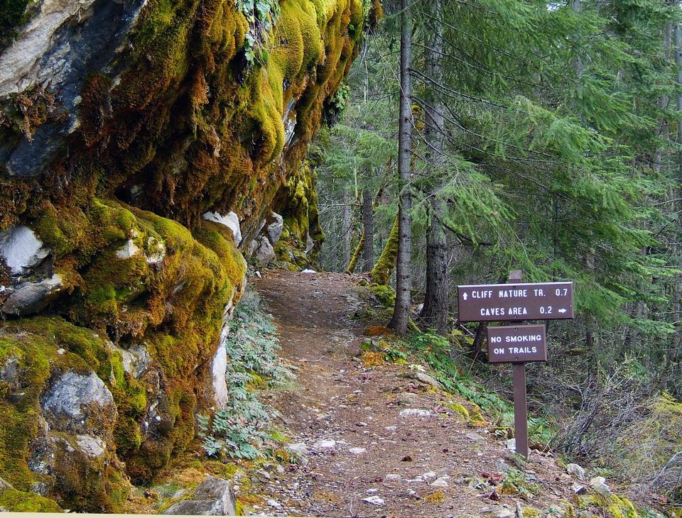 Free download high resolution image - free image free photo free stock image public domain picture  Cliff Nature Trail Oregon Caves National Monument