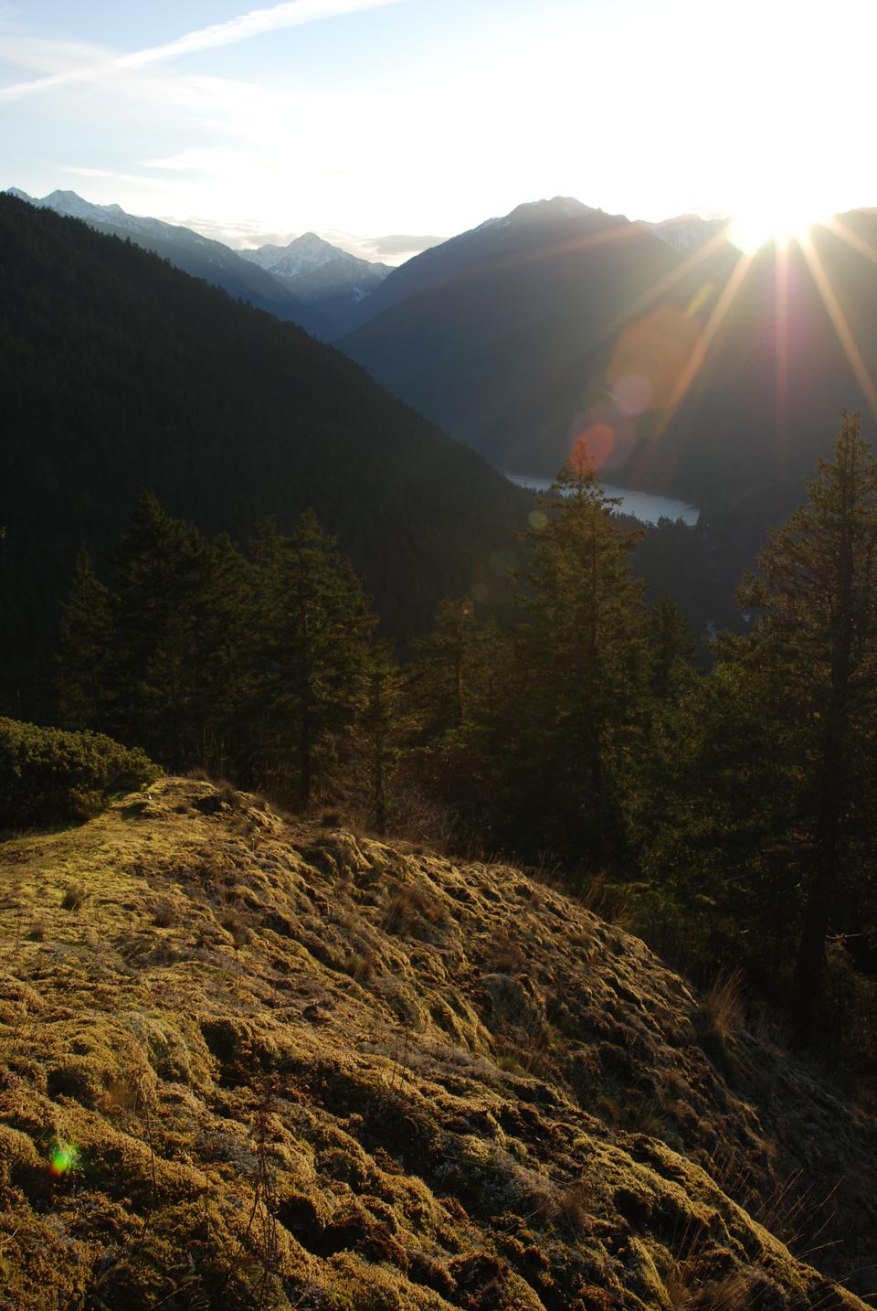 Free download high resolution image - free image free photo free stock image public domain picture  Griff Trail, Elwha Valley