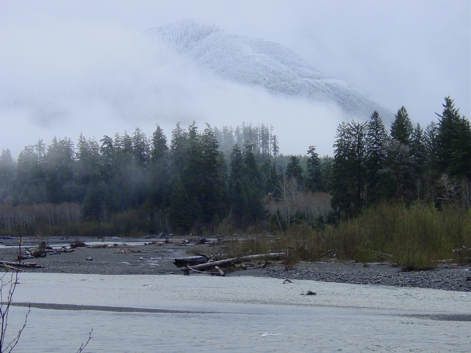 Free download high resolution image - free image free photo free stock image public domain picture -Hoh River at Olympic National Park