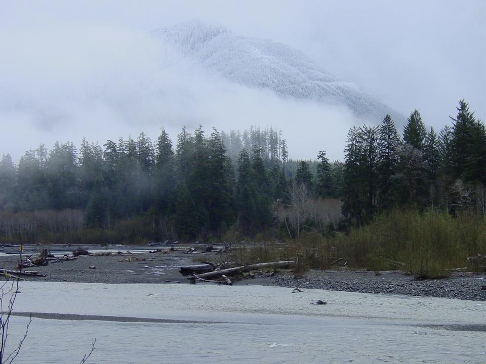 Free download high resolution image - free image free photo free stock image public domain picture  Hoh River at Olympic National Park