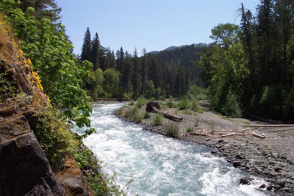 Free download high resolution image - free image free photo free stock image public domain picture  Krause Bottom, Elwha River, Olympic National Park