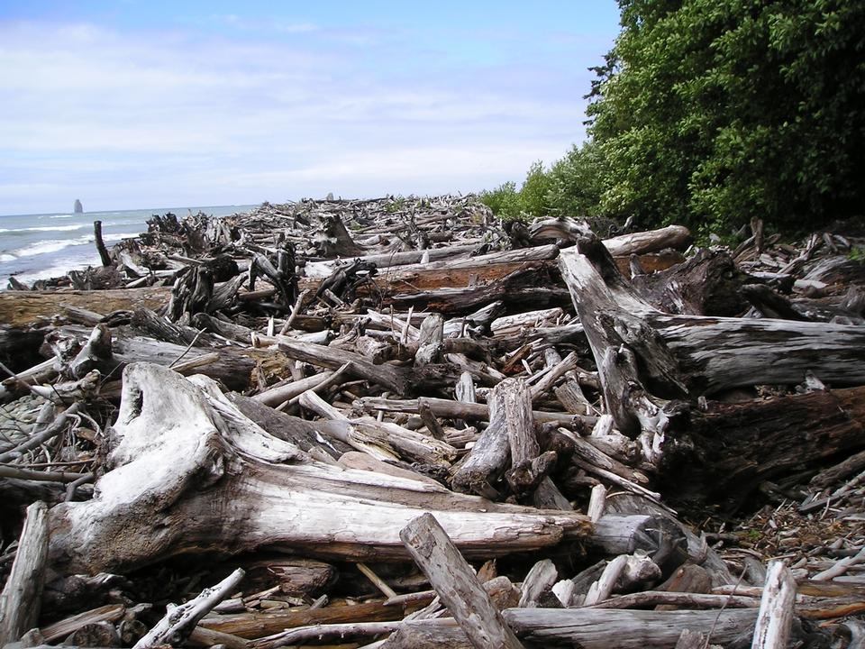 Free download high resolution image - free image free photo free stock image public domain picture  Logjam at Hoh River Mouth