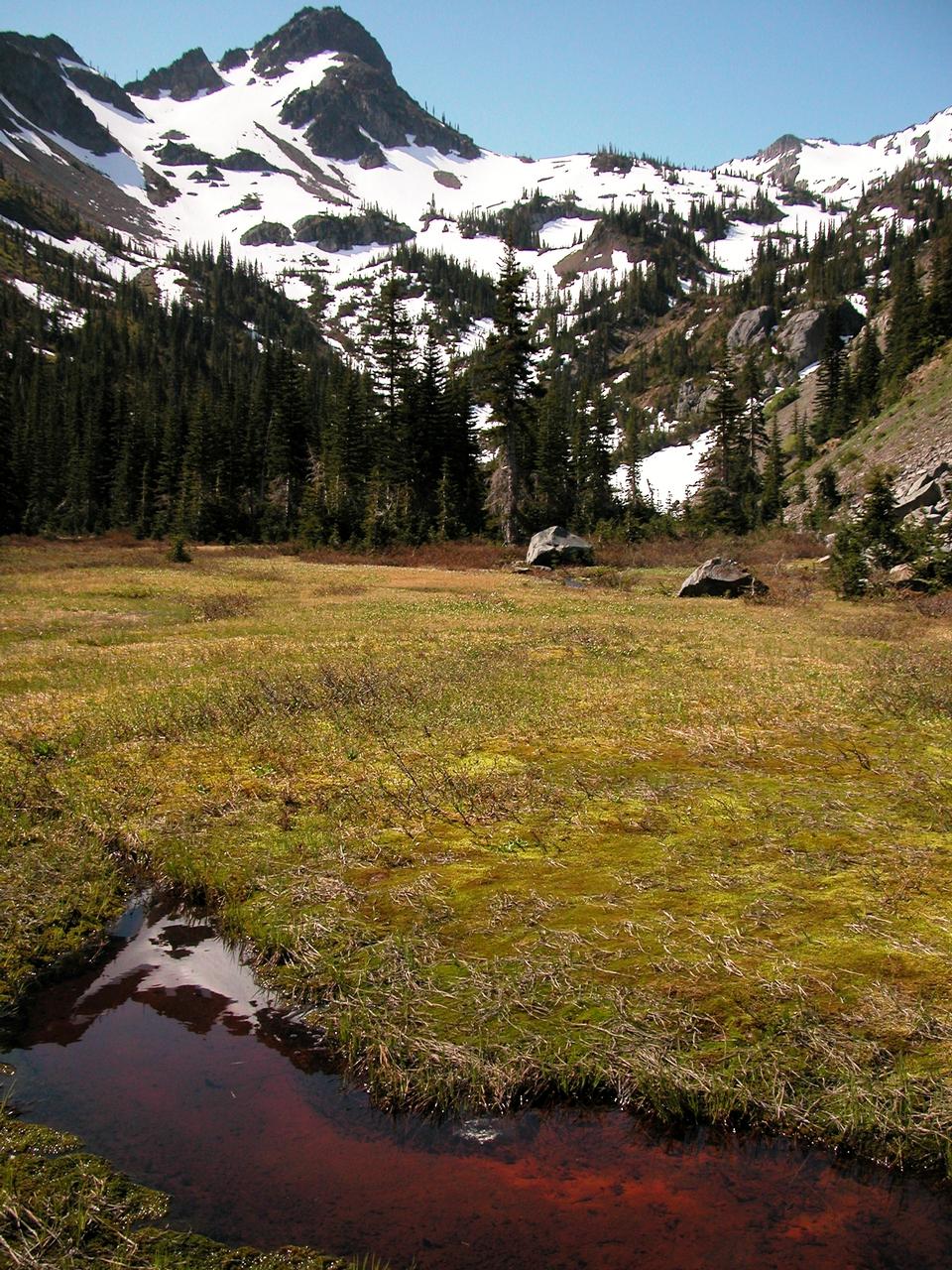 Free download high resolution image - free image free photo free stock image public domain picture  Mountains in the park