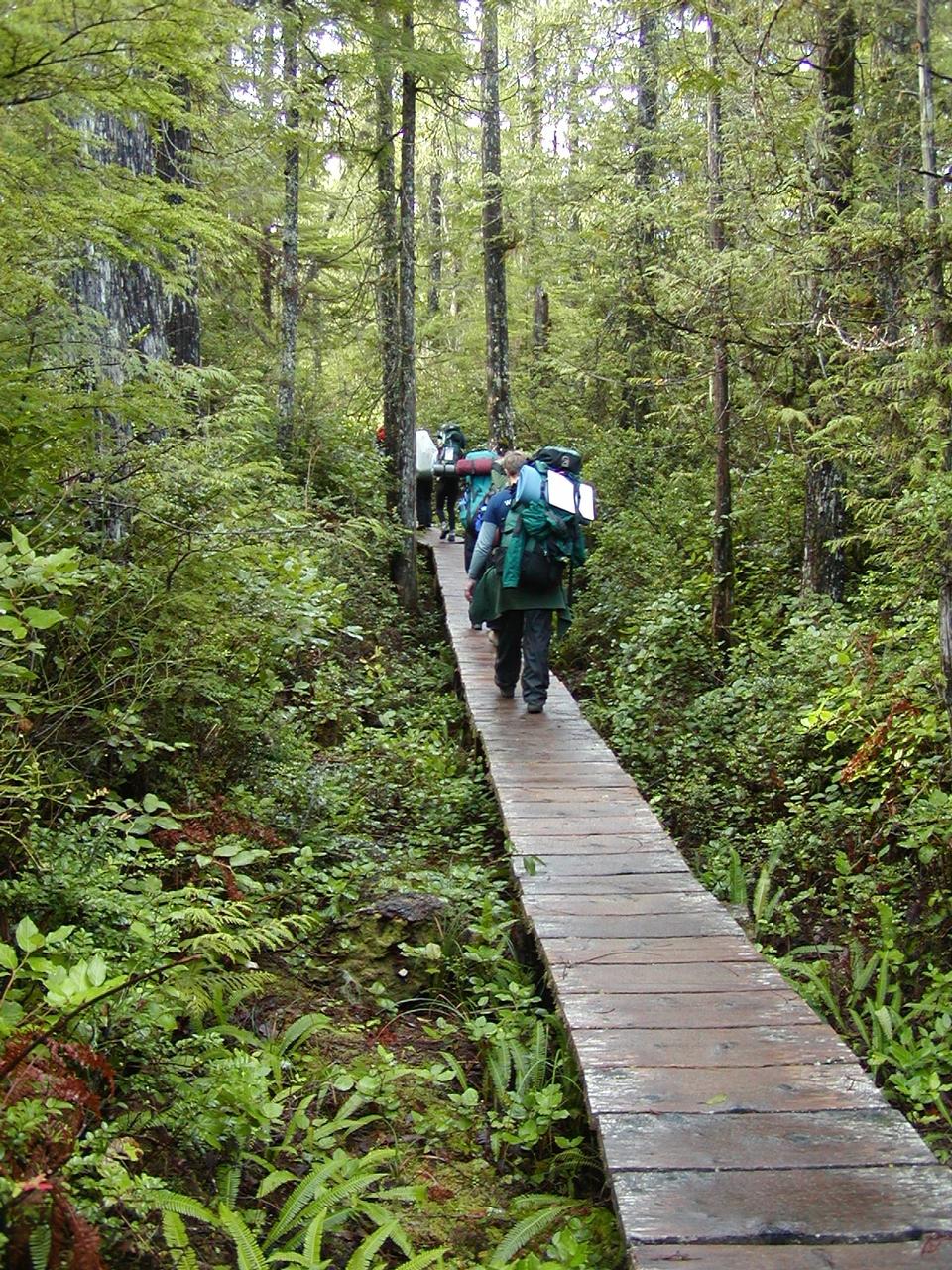 Free download high resolution image - free image free photo free stock image public domain picture  Ozette Boardwalk Trail