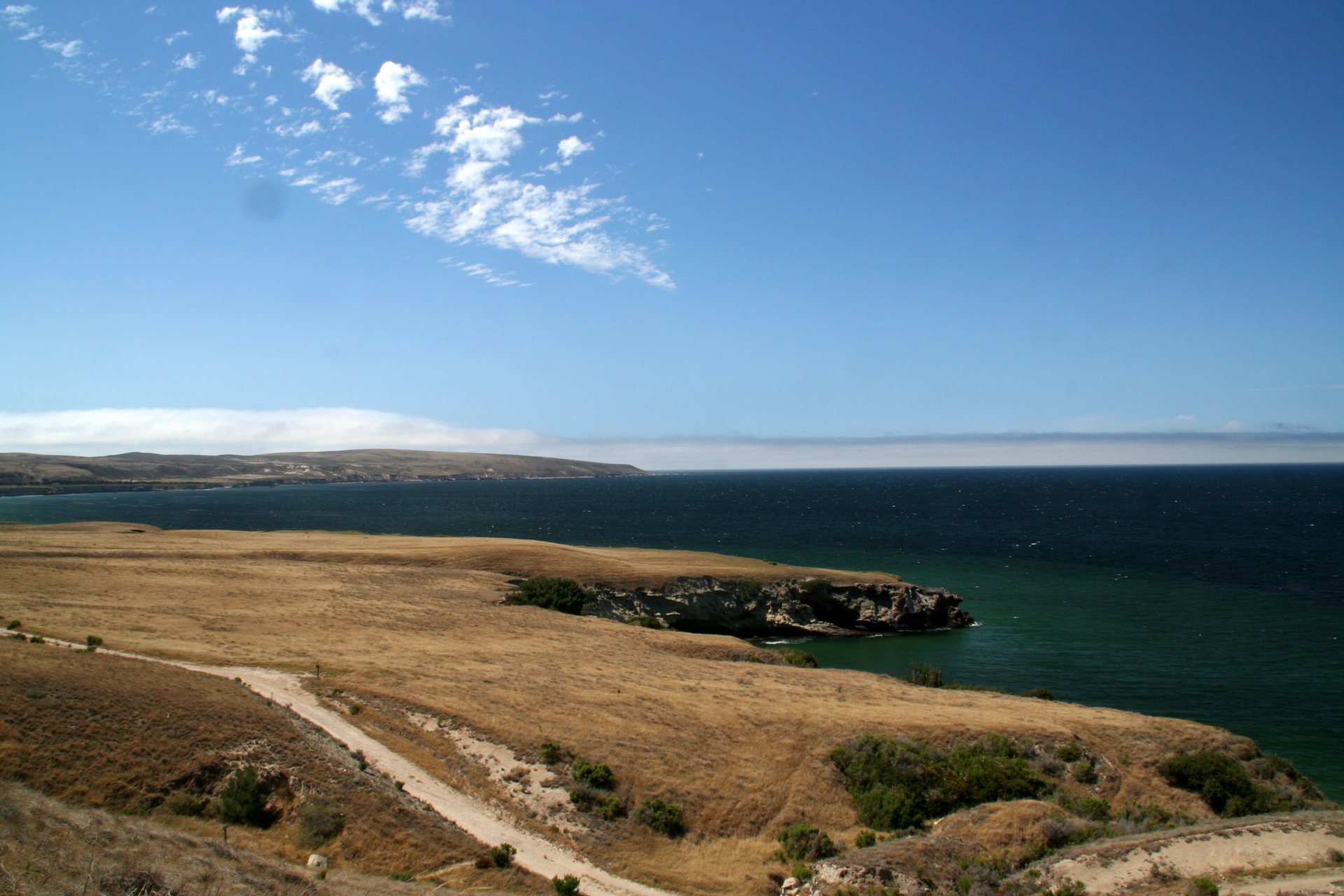 Free download high resolution image - free image free photo free stock image public domain picture -the top of Torrey Pines Hill, Santa Rosa Island, Channel Islands