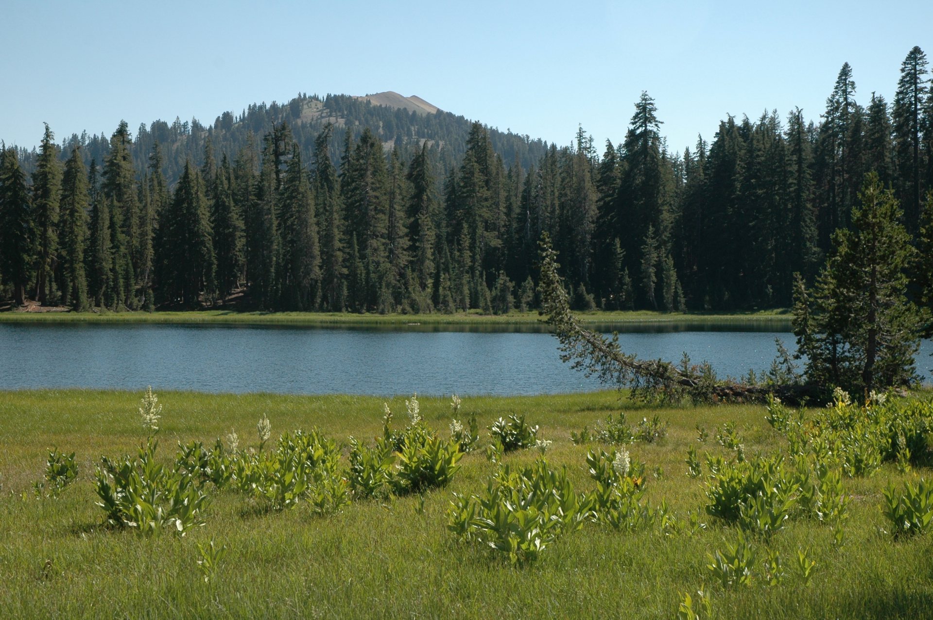 Free download high resolution image - free image free photo free stock image public domain picture -Crumbaugh Lake