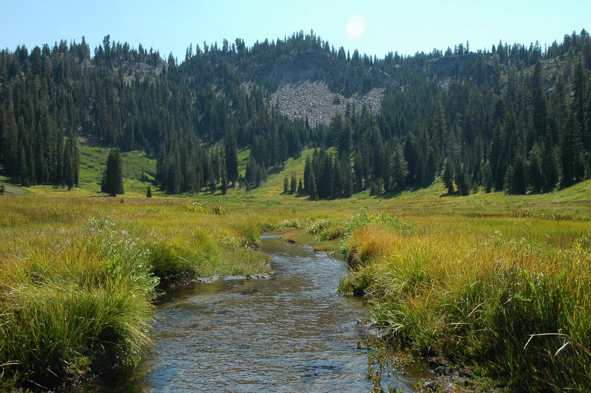 Free download high resolution image - free image free photo free stock image public domain picture -Paradise Meadow Lassen Volcanic National Park