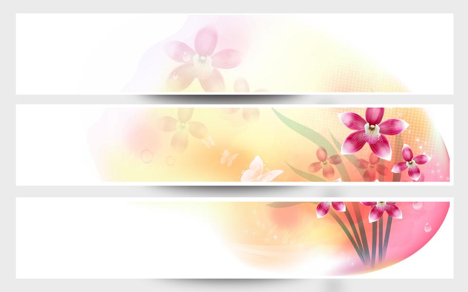 Free download high resolution image - free image free photo free stock image public domain picture  Set of backgrounds with flowers and space for your text