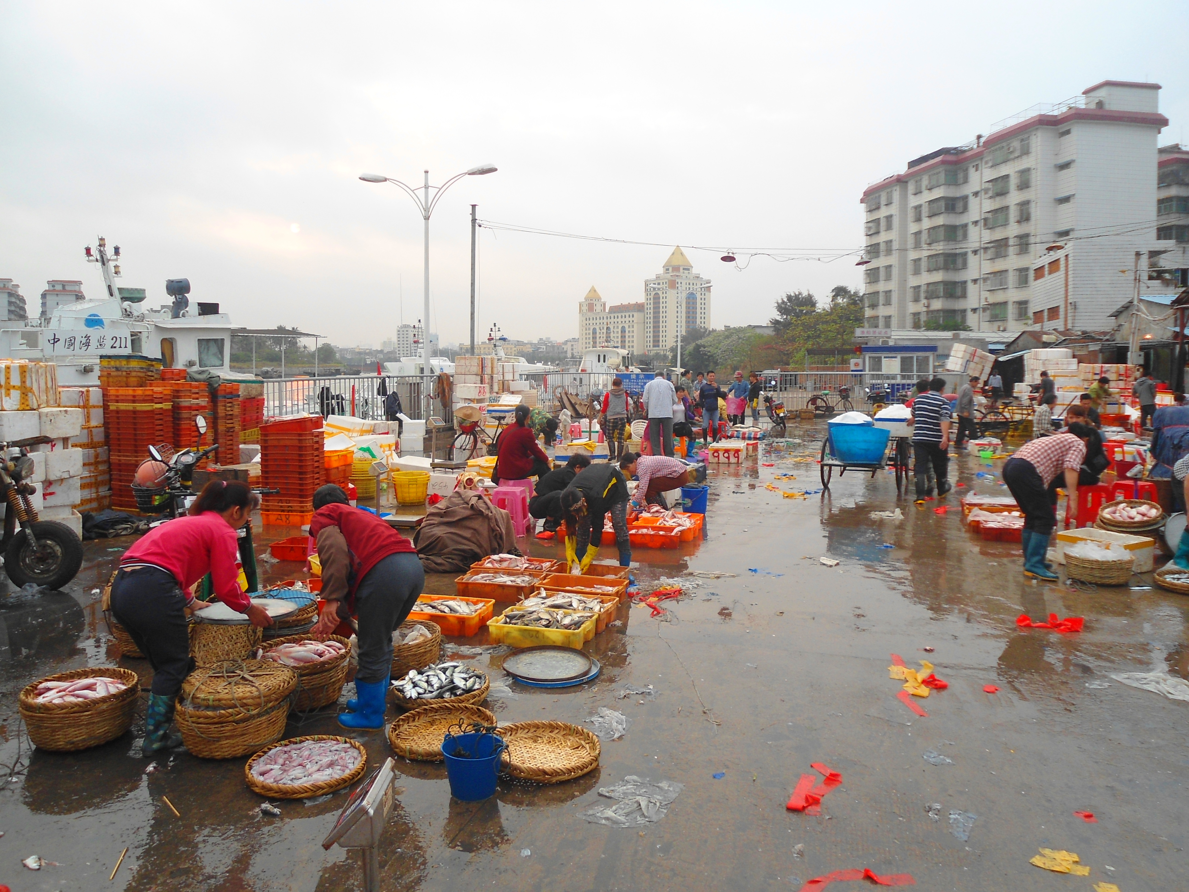 Free download high resolution image - free image free photo free stock image public domain picture -wholesale fish market at Haikou New Port