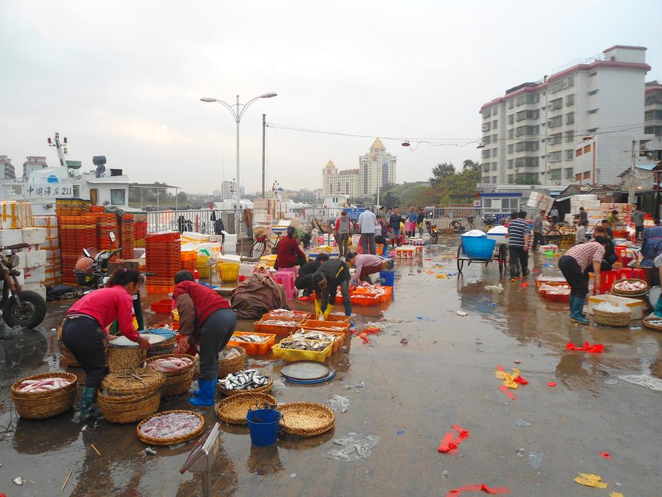 Free download high resolution image - free image free photo free stock image public domain picture  wholesale fish market at Haikou New Port