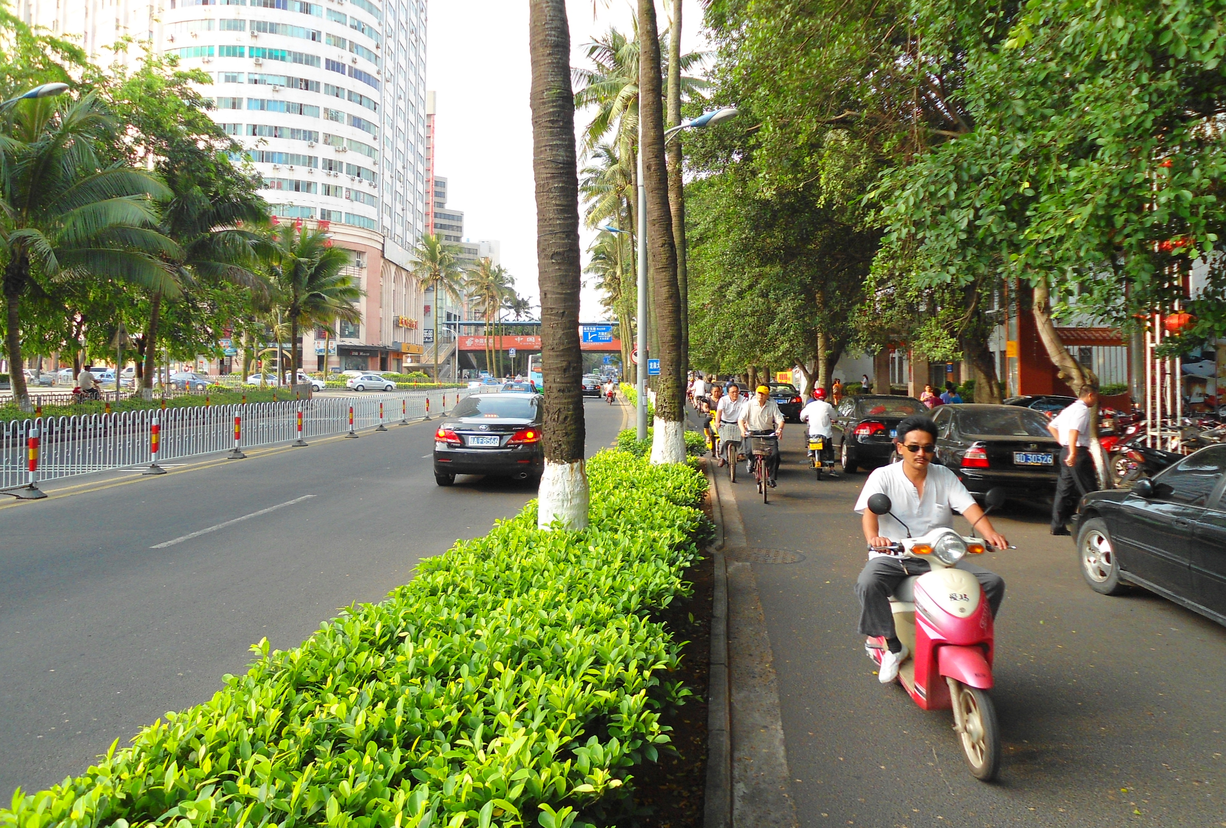 Free download high resolution image - free image free photo free stock image public domain picture -Street and bike lane, Haikou City