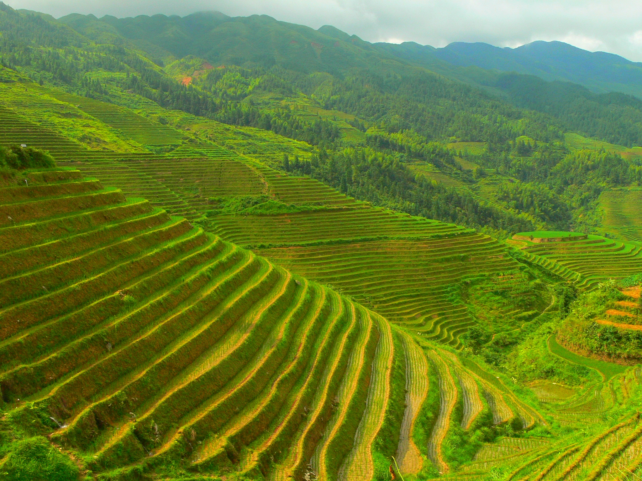 Free download high resolution image - free image free photo free stock image public domain picture -A Longji terrace in Longsheng county, Guilin, China