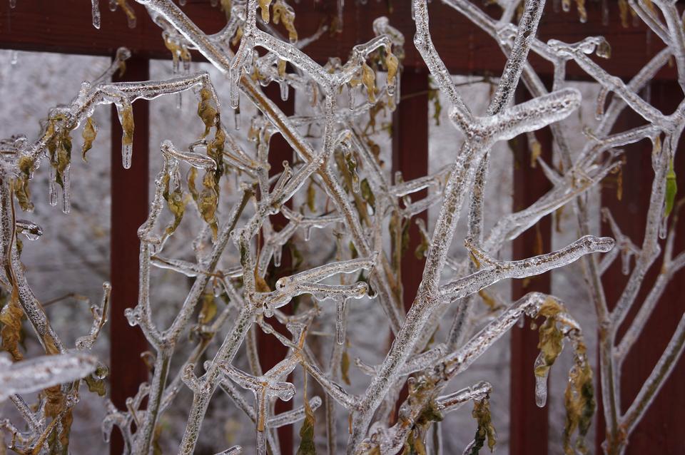 Free download high resolution image - free image free photo free stock image public domain picture  Icicles on a roof